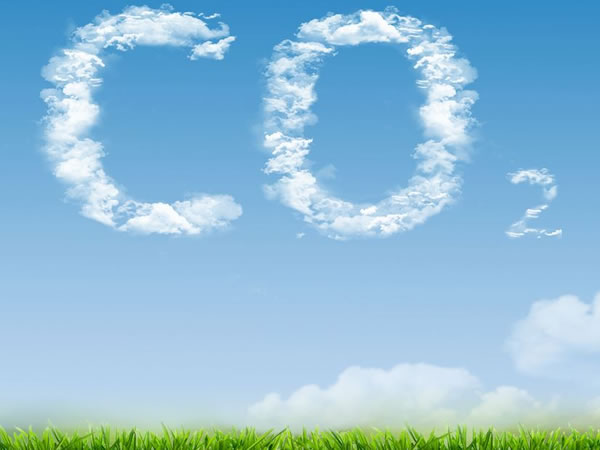 CO2 Reduction